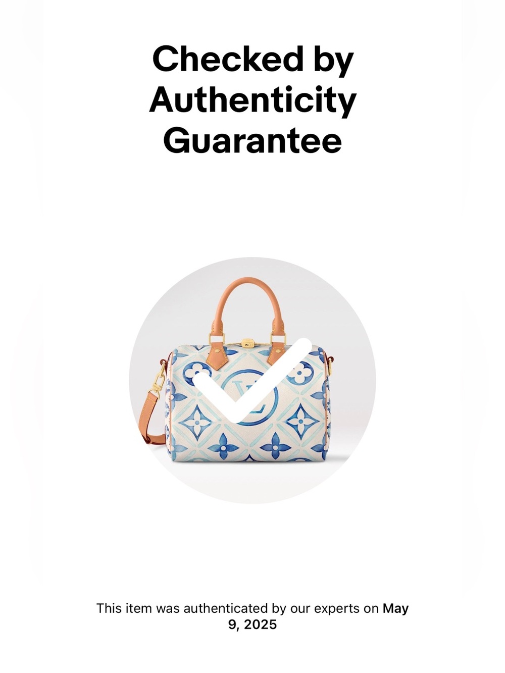 LOUIS VUITTON SPEEDY 25 BY THE POOL BLUE LAGOON BRAND NEW IN BOX W/DUST BAG TAGS - Picture 11 of 11
